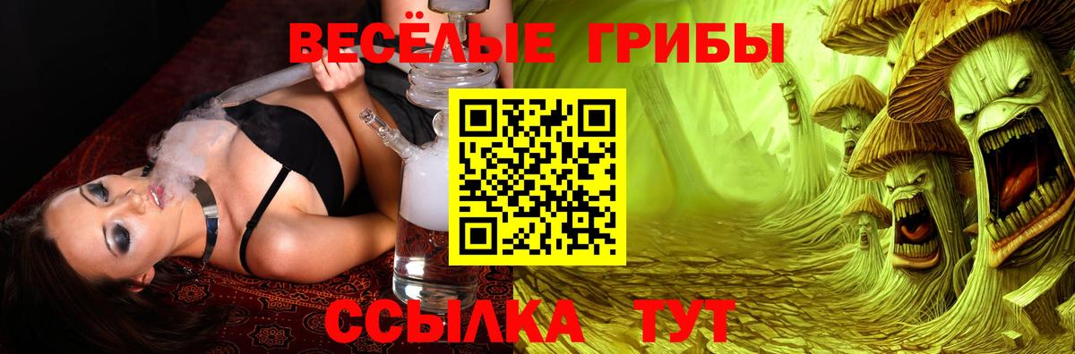 Красноярск  Галлюциногенные грибы Psilocybe  Вход с VPN  Галлюциногенные грибы прущие грибы 